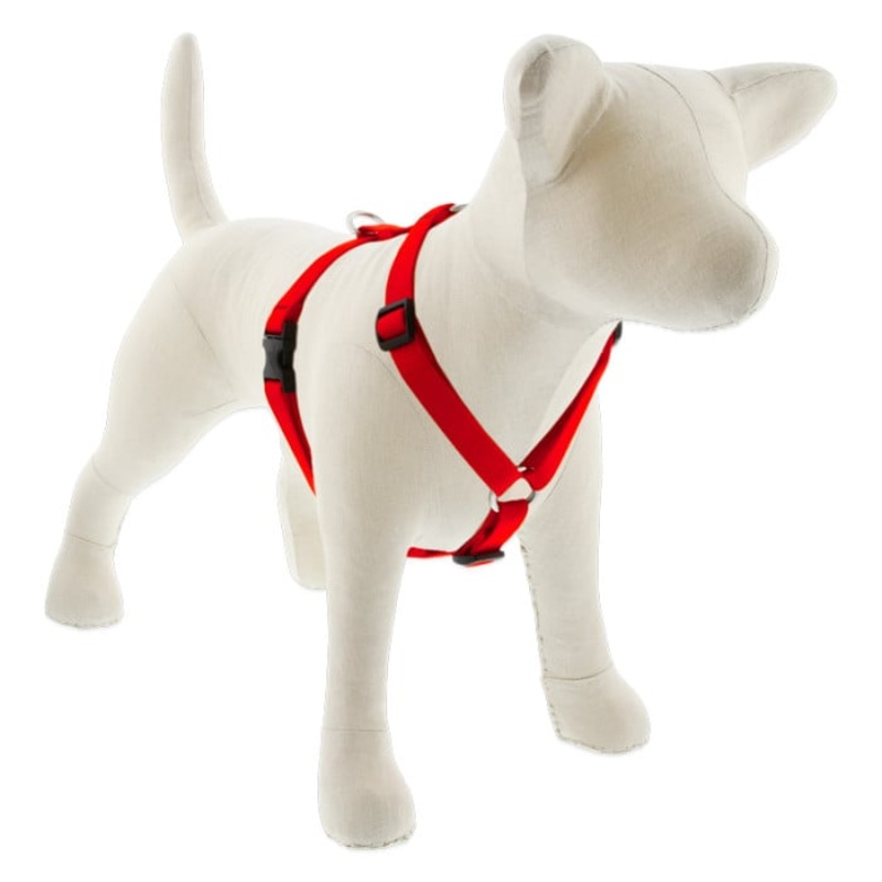 Lupine Pet Dog 3/4 In 20-32 In Roman Harness Basics Red