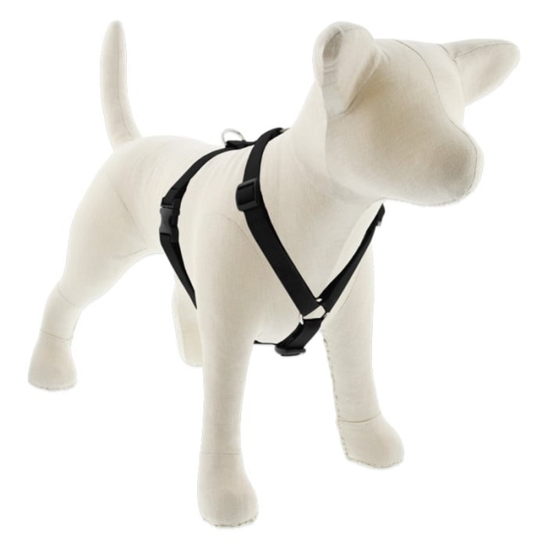 Lupine Pet Dog 3/4 In In Wide 14-24 In Roman Harness Basics Black