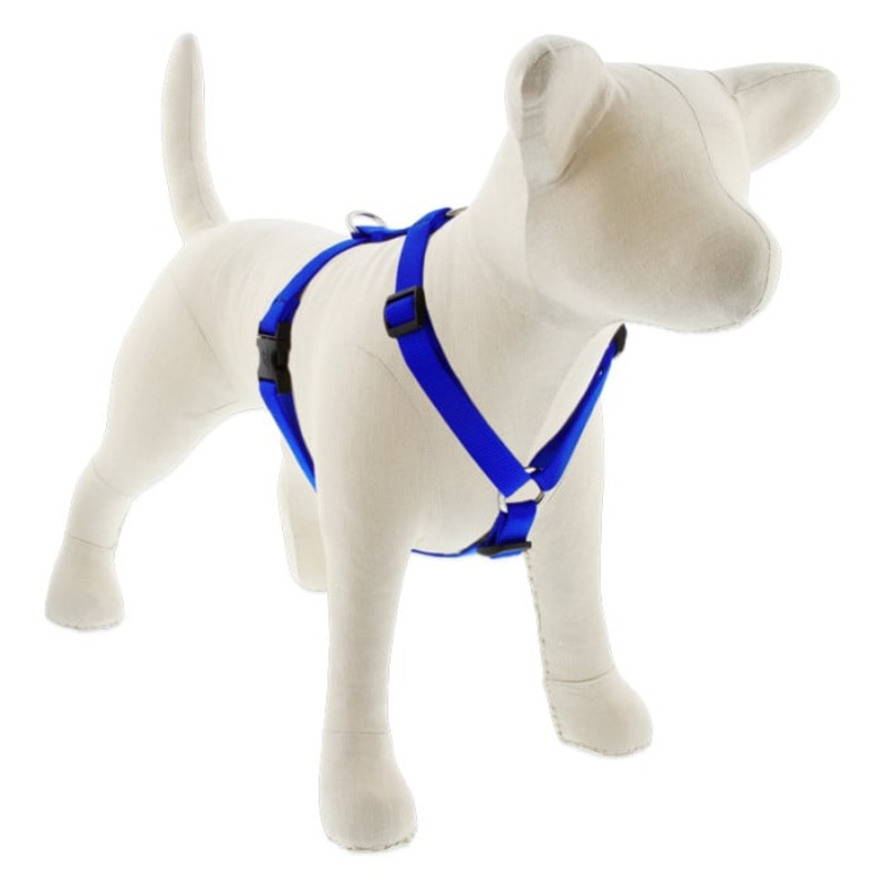Lupine Pet Dog 3/4 In In Wide 14-24 In Roman Harness Basics Blue