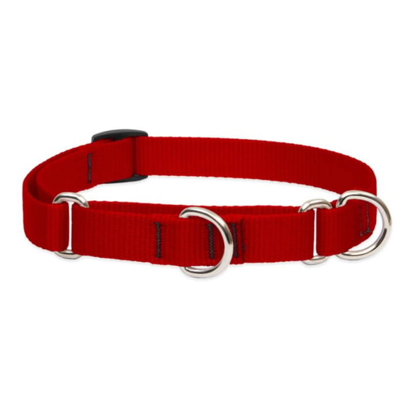 Lupine Pet Dog 3/4 In Wide 10-14 In Martingale Collar Basics Red