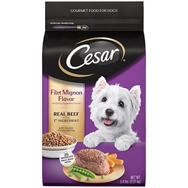 Health Extension Grain Free Salmon Recipe Dry Dog Food, 4-pounds
