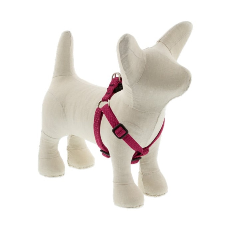 Lupine Pet Dog 1/2 In Wide 10-13 In Step  In Harness Eco Berry