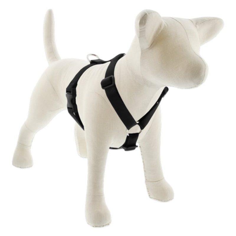 Lupine Pet Dog 1 In 20-32 In Roman Harness Basics Black