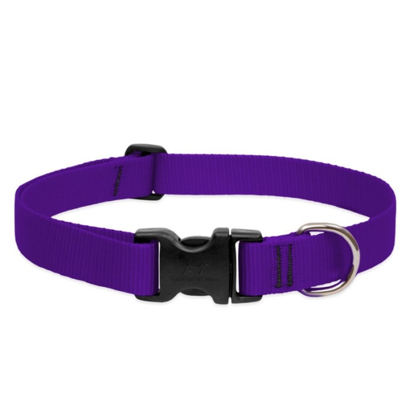 Lupine Pet Dog 1 In Wide 12-20 In Adjustable Collar Basics Purple