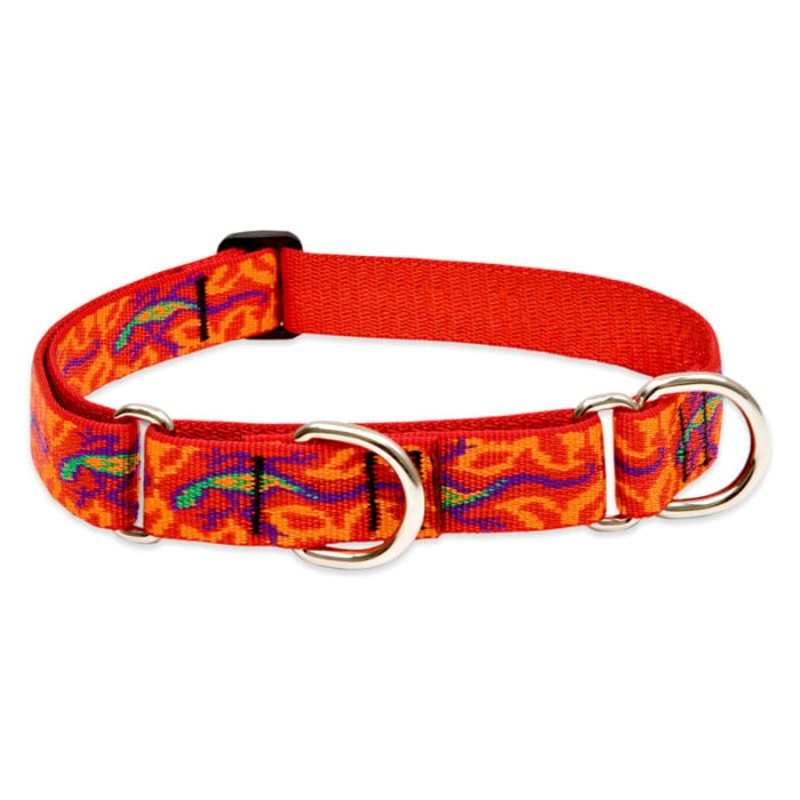 Lupine Pet Dog 1 In Wide 15-22 In Martingale Collar Original Designs Go Go Gecko