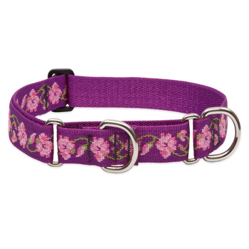 Lupine Pet Dog 1 In Wide 15-22 In Martingale Collar Original Designs Rose Garden