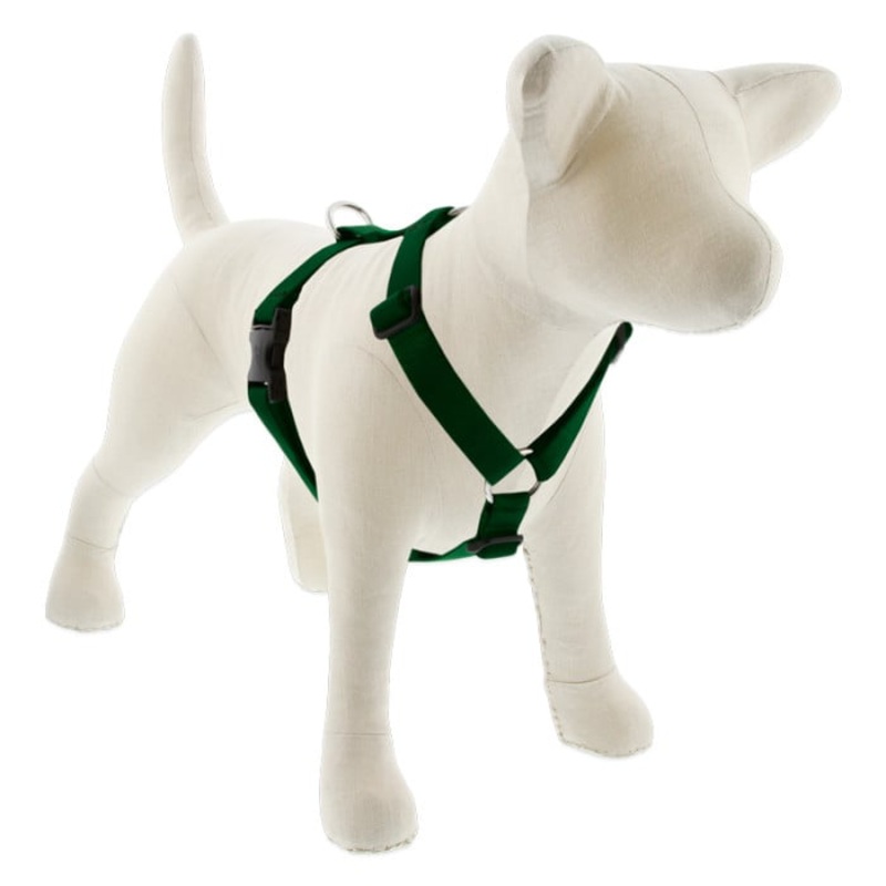 Lupine Pet Dog 1 In Wide 24-38 In Roman Harness Basics Green