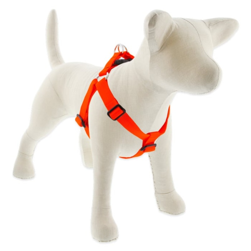 Lupine Pet Dog 1 In Wide 24-38 In Step  In Harness Basics Blaze Orange