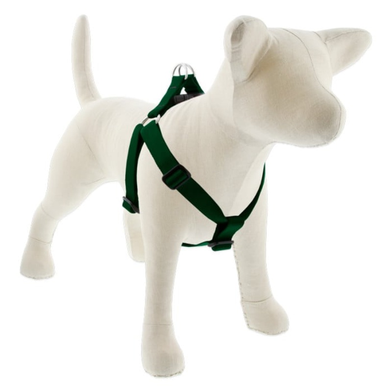 Lupine Pet Dog 1 In Wide 24-38 In Step  In Harness Basics Green