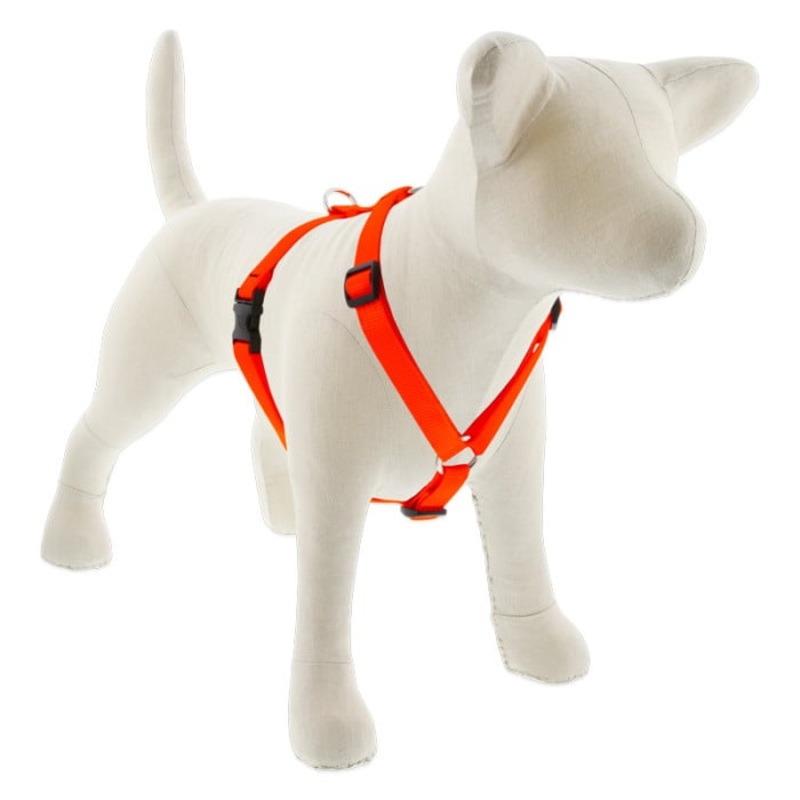 Lupine Pet Dog 3/4 In In Wide 14-24 In Roman Harness Basics Blaze Orange