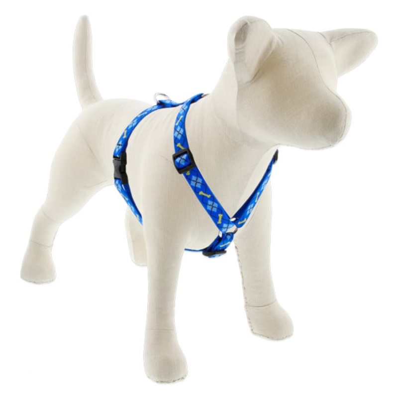 Lupine Pet Dog 3/4 In In Wide 14-24 In Roman Harness Original Designs Dapper Dog
