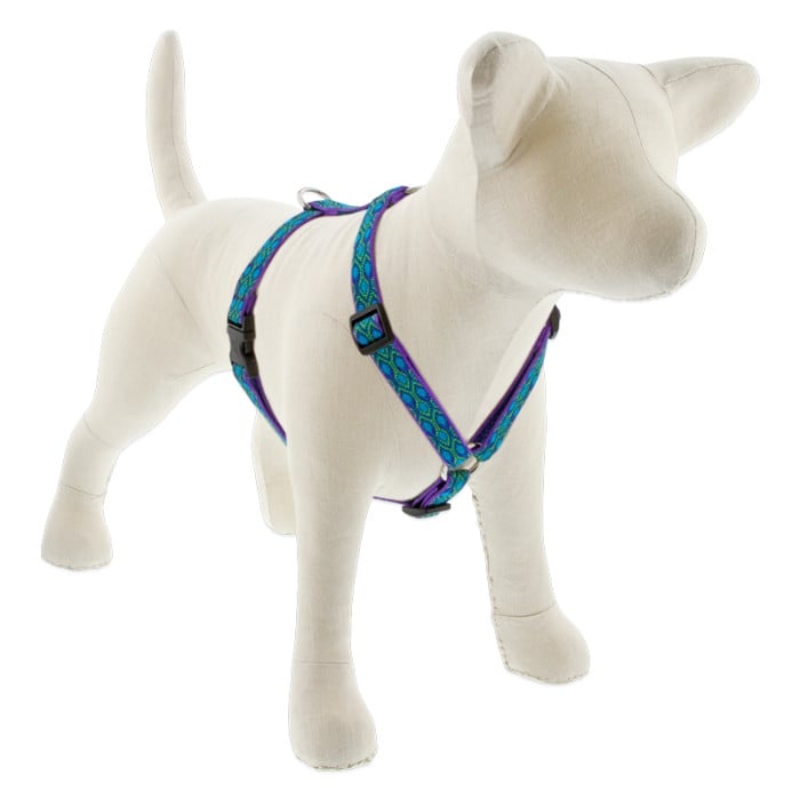Lupine Pet Dog 3/4 In In Wide 14-24 In Roman Harness Original Designs Ra In Song