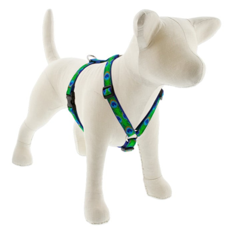 Lupine Pet Dog 3/4 In In Wide 14-24 In Roman Harness Original Designs Tailfeathers