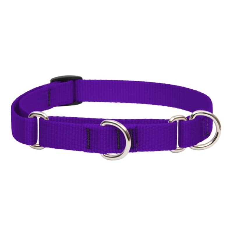 Lupine Pet Dog 3/4 In Wide 10-14 In Martingale Collar Basics Purple