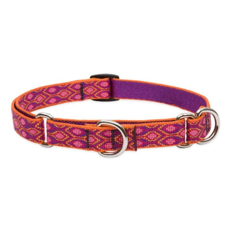 Lupine Pet Dog 3/4 In Wide 10-14 In Martingale Collar Original Designs Alpen Glow