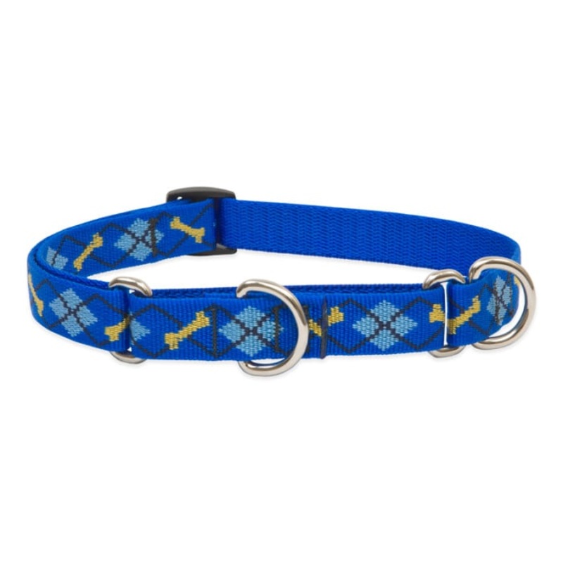 Lupine Pet Dog 3/4 In Wide 10-14 In Martingale Collar Original Designs Dapper Dog