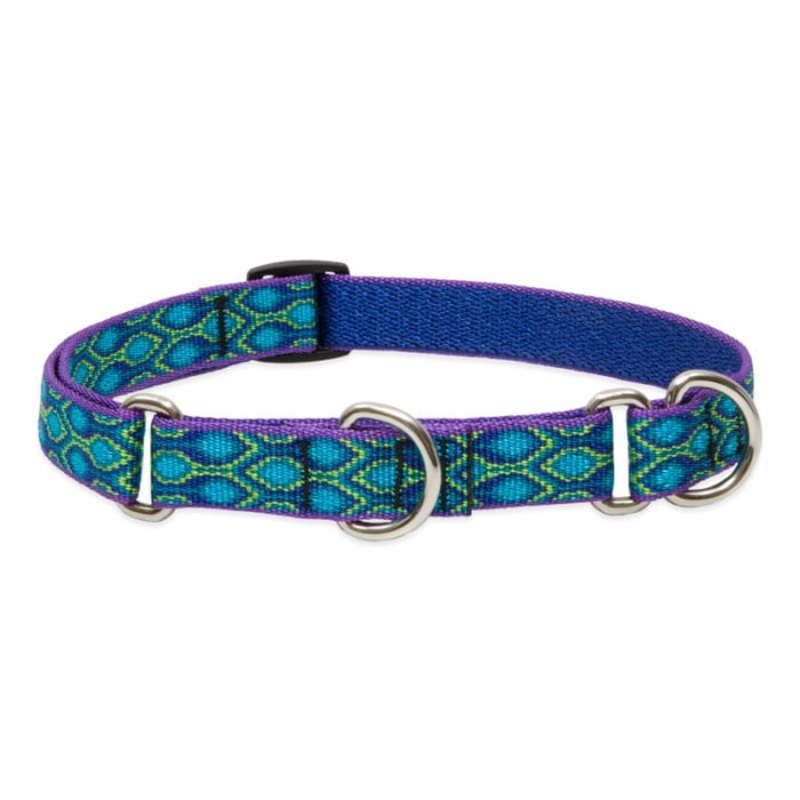 Lupine Pet Dog 3/4 In Wide 10-14 In Martingale Collar Original Designs Ra In Song