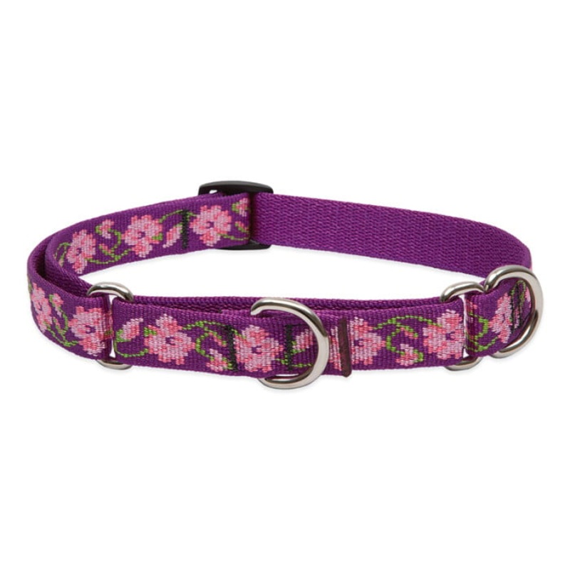 Lupine Pet Dog 3/4 In Wide 10-14 In Martingale Collar Original Designs Rose Garden