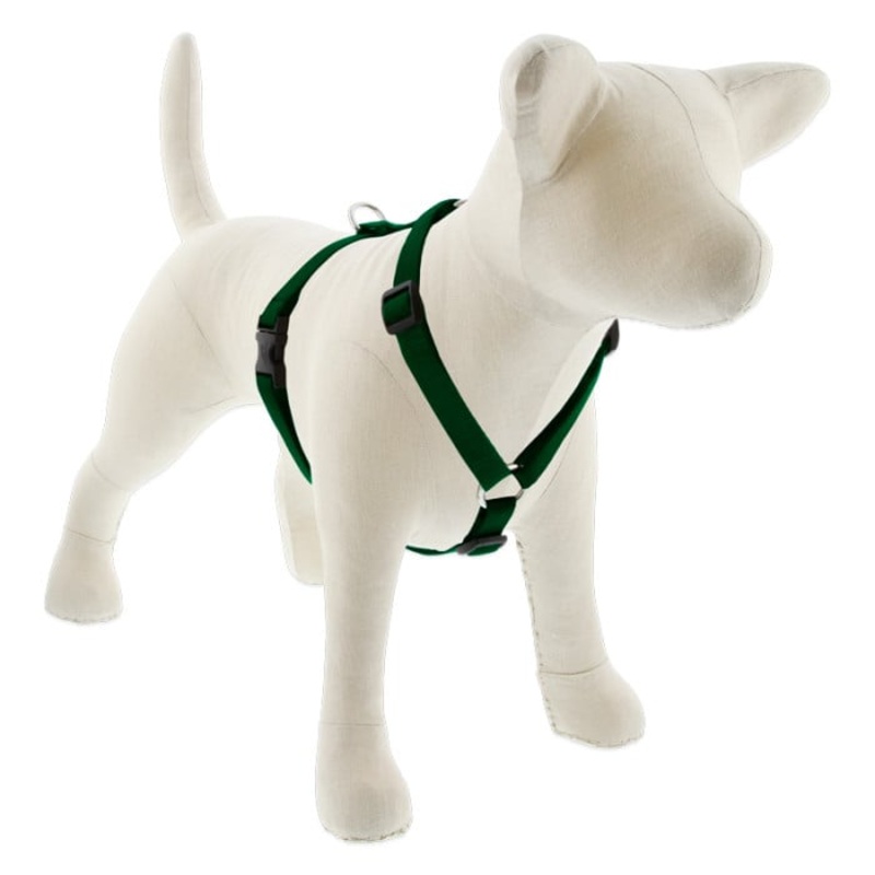 Lupine Pet Dog 3/4 In Wide 12-20 In Roman Harness Basics Green