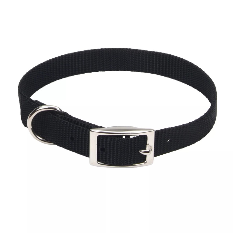 Coastal Single Ply 5/8in Wide 16in Dog Collar Black
