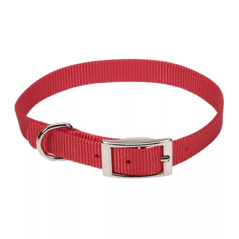 Coastal Single Ply 5/8in Wide 16in Dog Collar Red