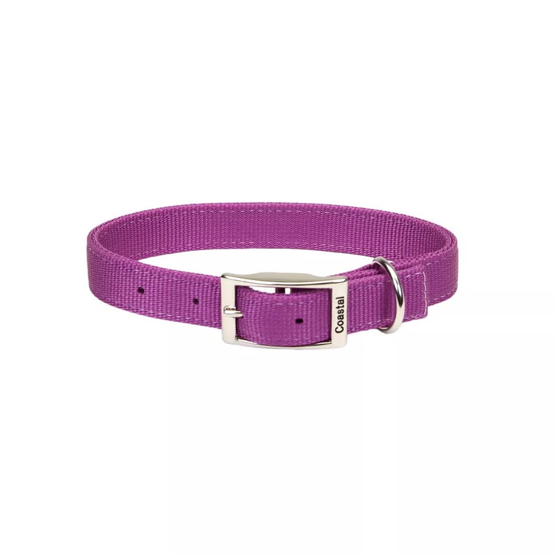 Coastal Double Ply 1in Wide 22in Dog Collar Orchid