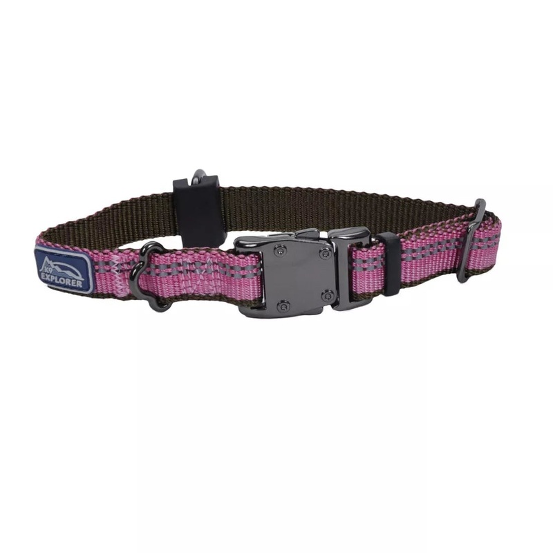 Coastal K9 Explorer 5/8in Wide 8-12in Reflective Adjustable Dog Collar Rosebud