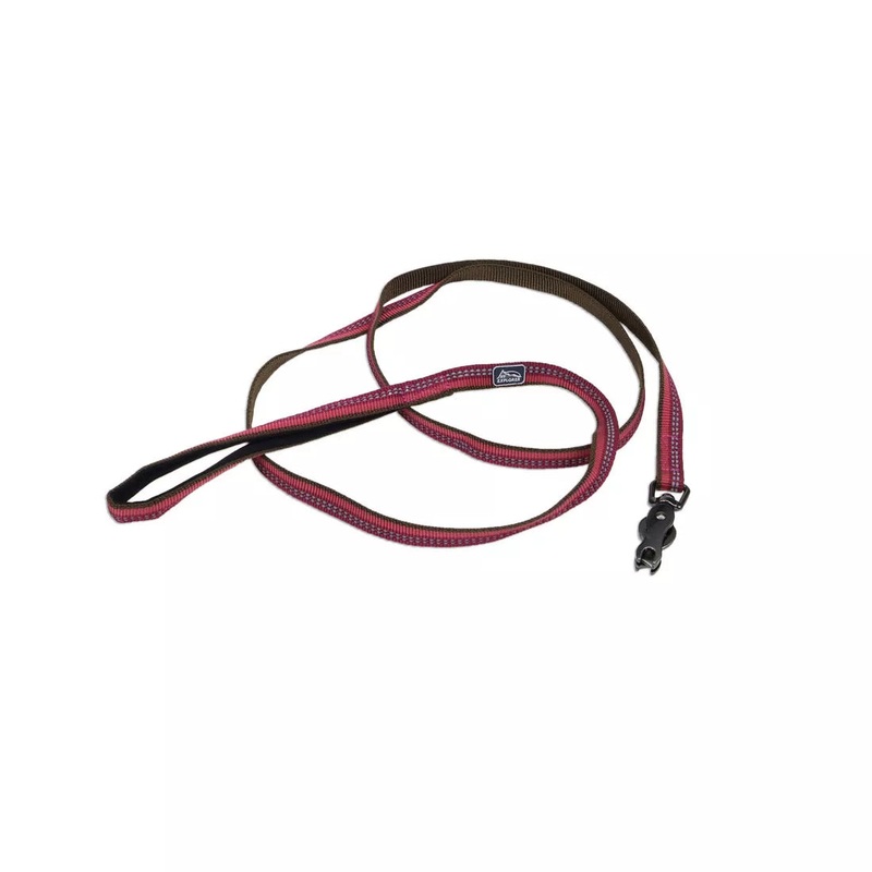Coastal K9 Explorer 6ft Long 1in Reflective Dog Leash with Scissor Snap Berry
