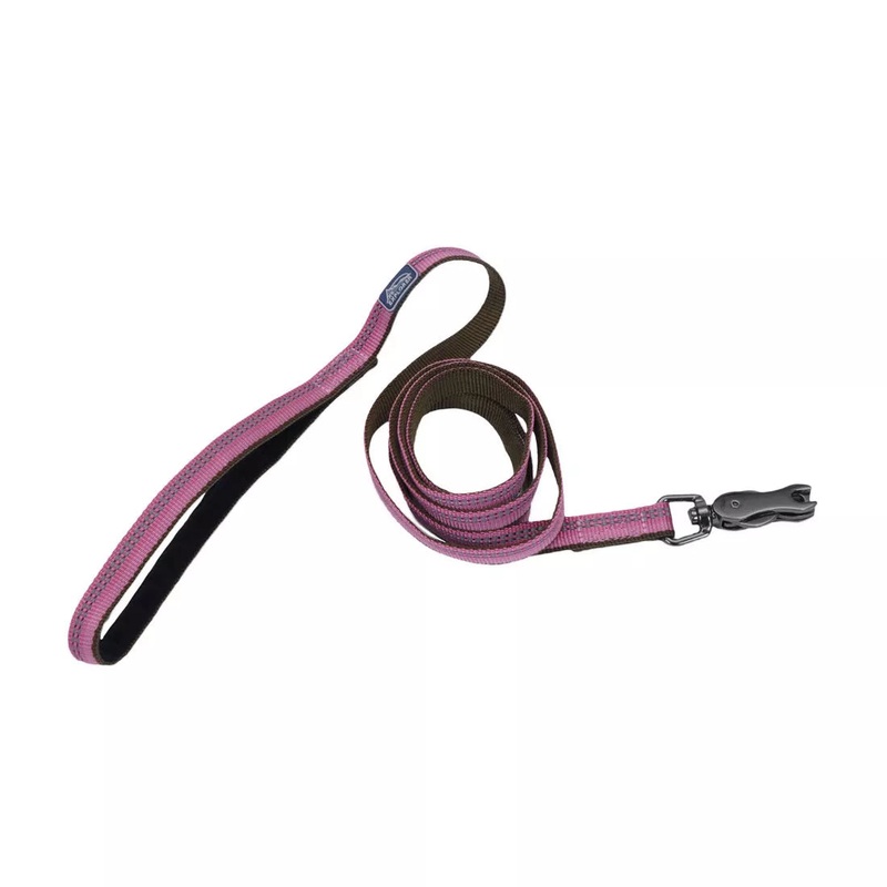 Coastal K9 Explorer 6ft Long 1in Reflective Dog Leash with Scissor Snap Rosebud