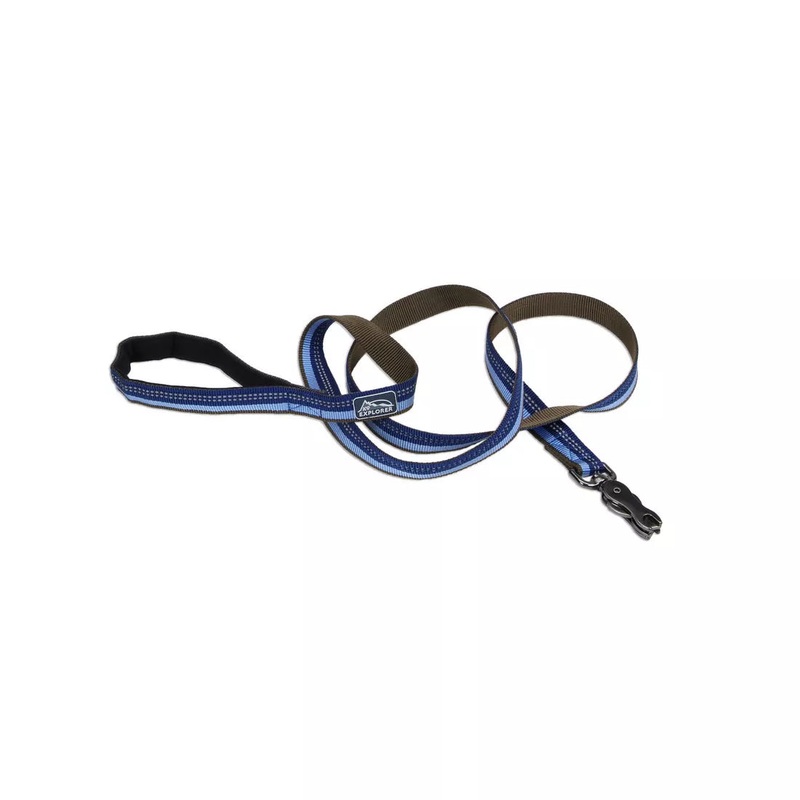 Coastal K9 Explorer 6ft Long 1in Reflective Dog Leash with Scissor Snap Sapphire