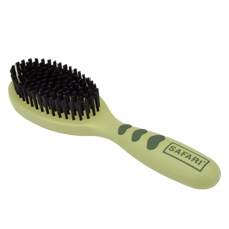 Coastal Safari Bristle Dog Brush Large 9in