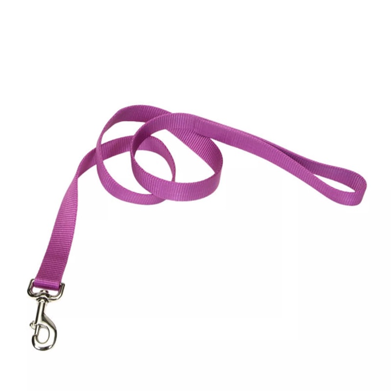 Coastal Single Ply 6ft Long 3/8in Dog Leash Orchid
