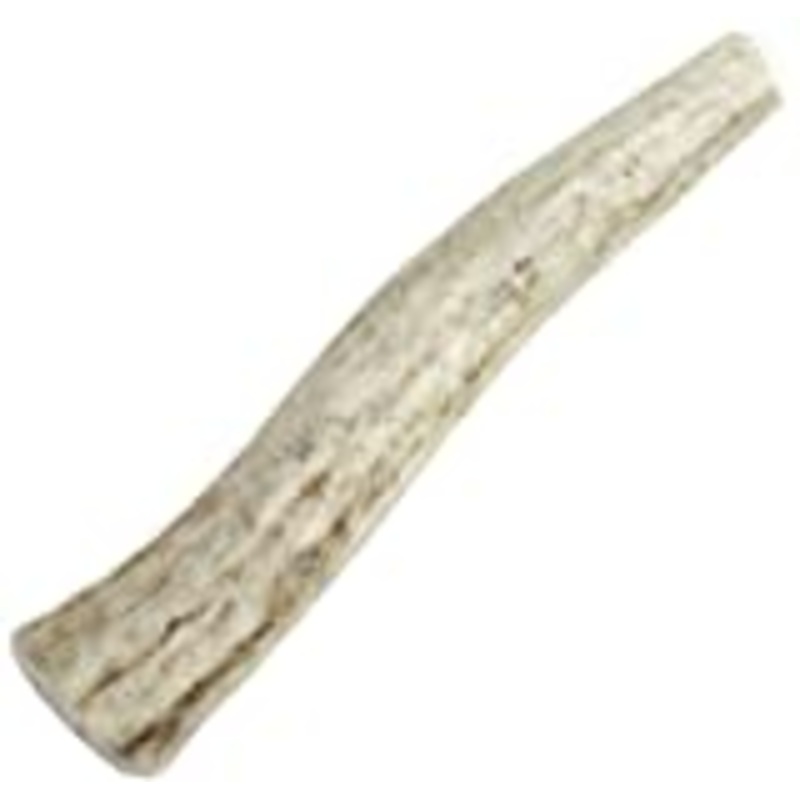 Happy Dog of Cape Cod Whole Elk Antler Dog Chew eXtra Small