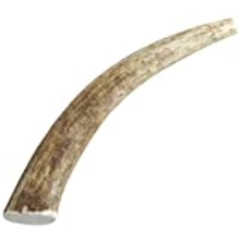Happy Dog of Cape Cod Whole Elk Antler Dog Chew Medium