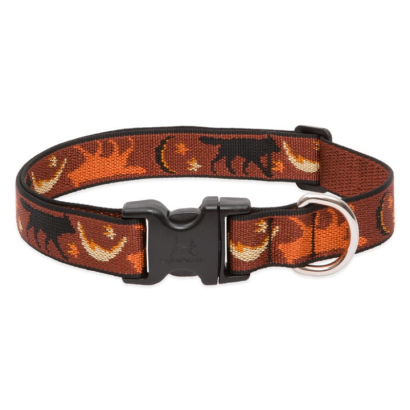Lupine Pet Dog 1 In Wide 12-20 In Adjustable Collar Original Designs Shadow Hunter