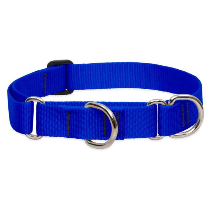 Lupine Pet Dog 1 In Wide 15-22 In Martingale Collar Basic Blue
