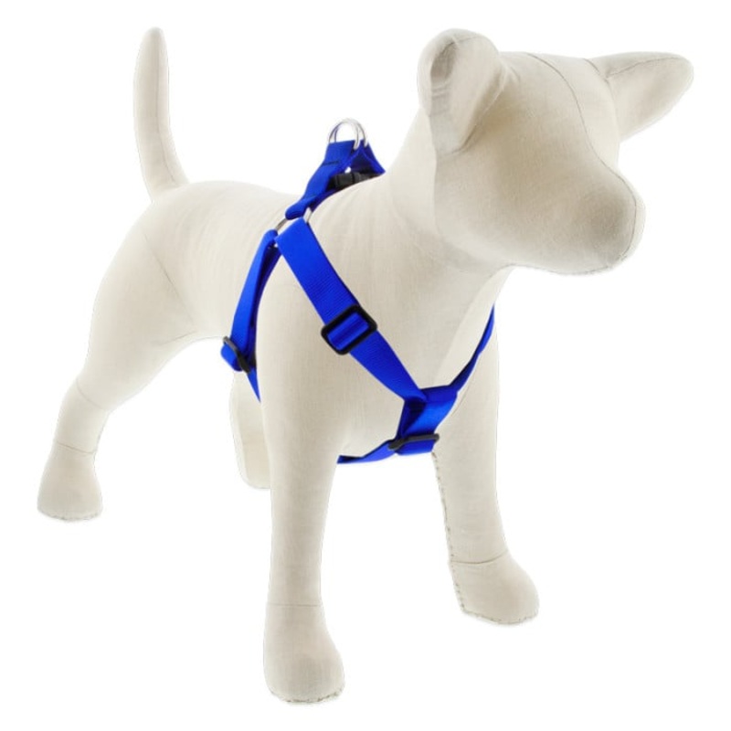 Lupine Pet Dog 1 In Wide 24-38 In Step  In Harness Basics Blue