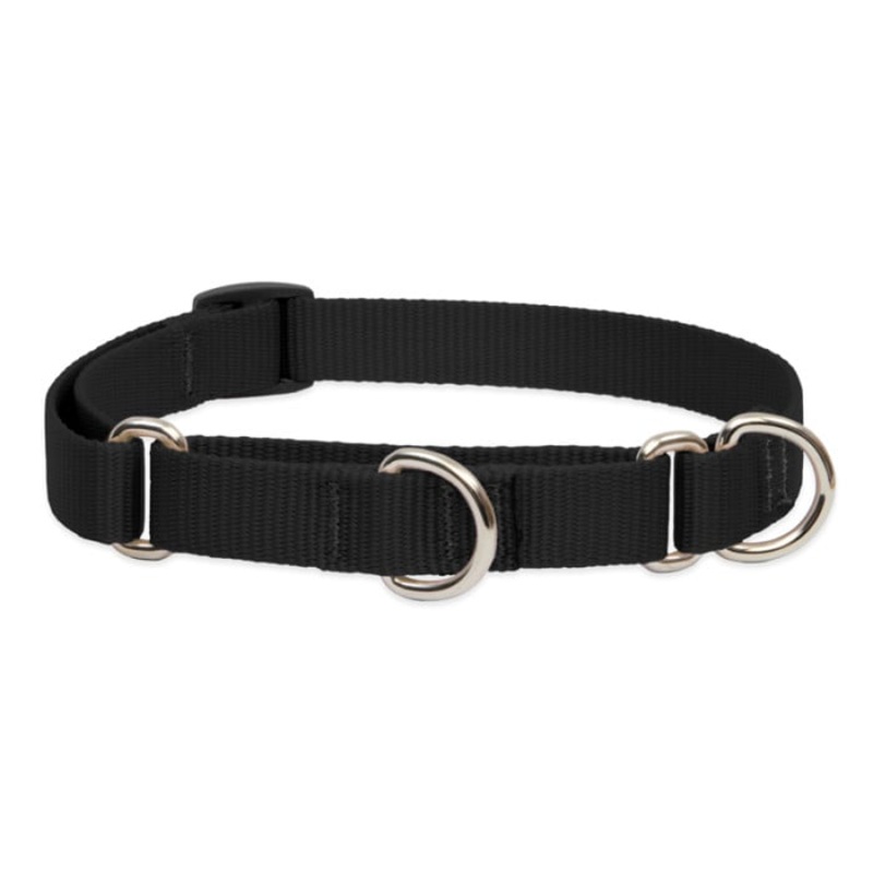 Lupine Pet Dog 3/4 In Wide 10-14 In Martingale Collar Basics Black