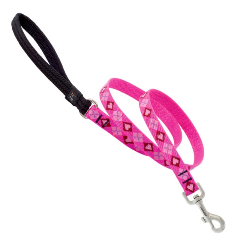 Lupine Pet Dog 6 Ft Long 3/4 In Leash Original Designs Puppy Love
