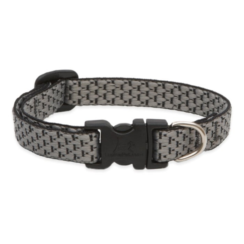 Lupine Pet Dog 1 In Wide 12-20 In Adjustable Collar Eco Granite