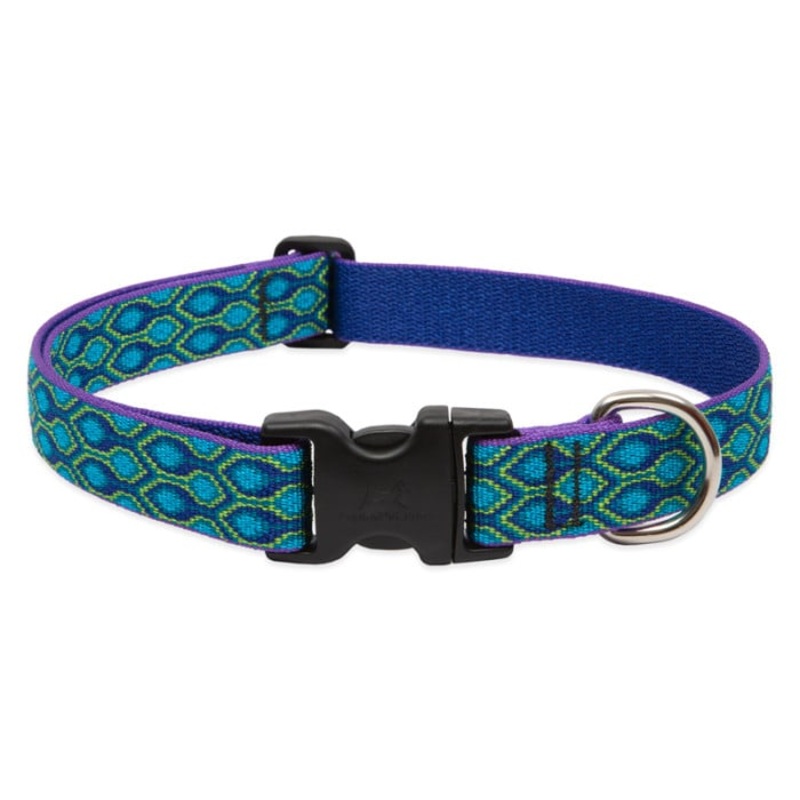 Lupine Pet Dog 1 In Wide 12-20 In Adjustable Collar Original Designs Ra In Song