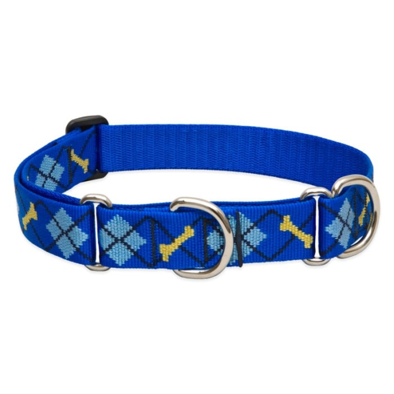 Lupine Pet Dog 1 In Wide 15-22 In Martingale Collar Original Designs Dapper Dog