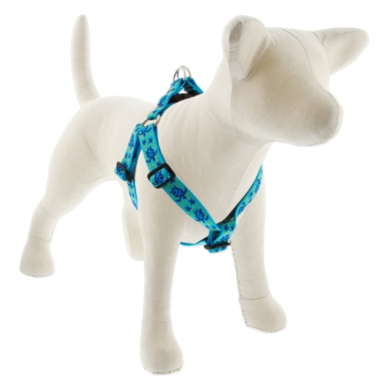 Lupine Pet Dog 1 In Wide 24-38 In Step  In Harness Original Designs Turtle Reef