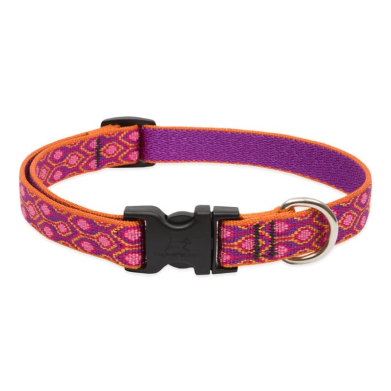 Lupine Pet Dog 2/4 In Wide 9-14 In Adjustable Collar Original Designs Alpen Glow