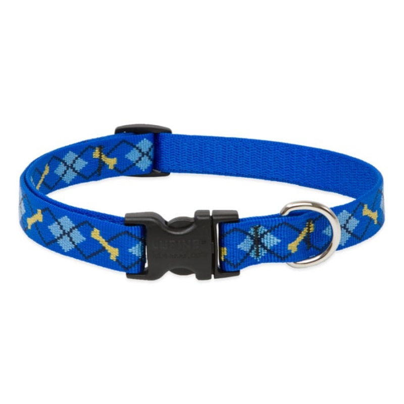 Lupine Pet Dog 2/4 In Wide 9-14 In Adjustable Collar Original Designs Dapper Dog