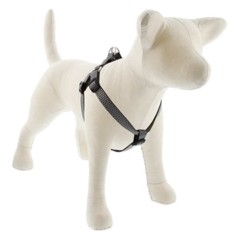 Lupine Pet Dog 3/4 In Wide 15-21 In Step  In Harness Eco Granite