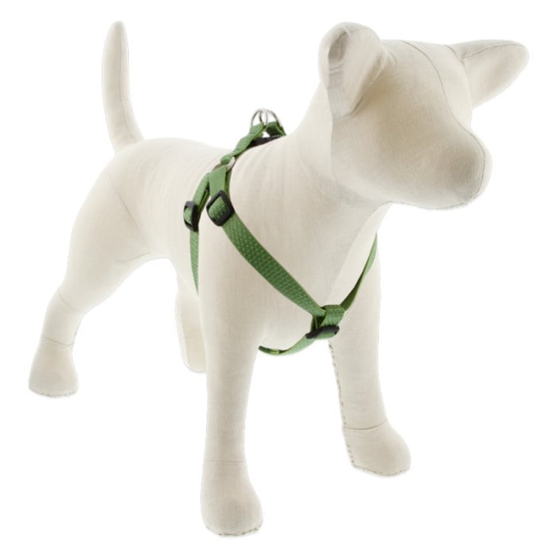 Lupine Pet Dog 3/4 In Wide 15-21 In Step  In Harness Eco Moss