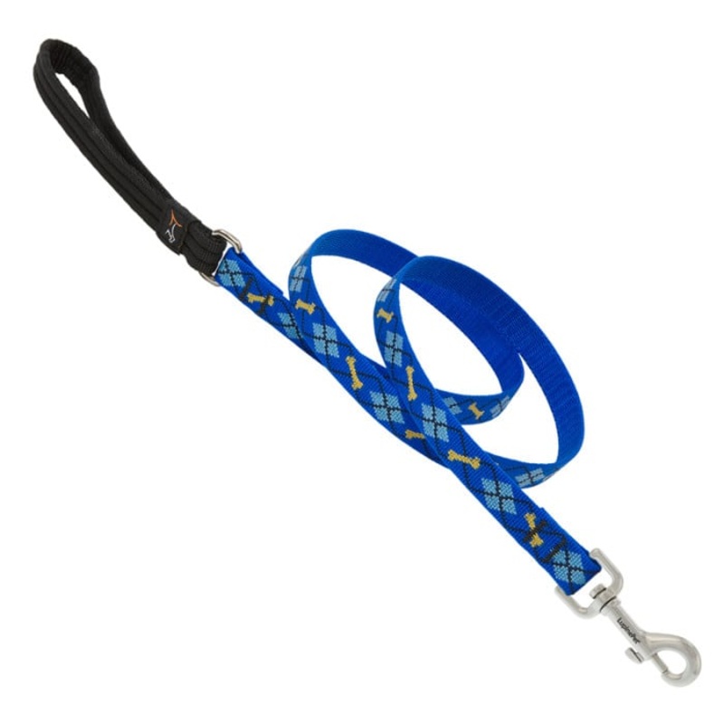 Lupine Pet Dog 6 Ft Long 3/4 In Leash Original Designs Dapper Dog