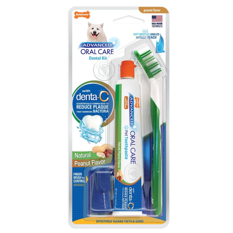 Nylabone Advanced Oral Care Natural Dog Dental Kit Peanut Butter 2.5oz