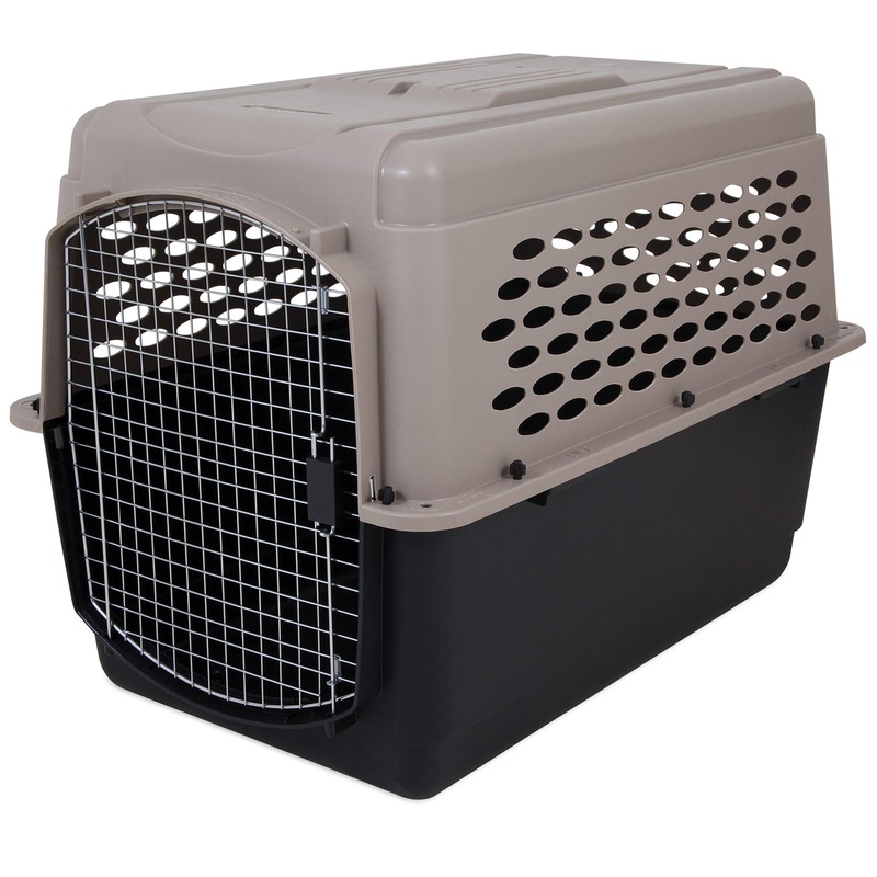 Petmate Vari Fashion Single-Door Plastic Dog Kennel  Brown  Large  40 L